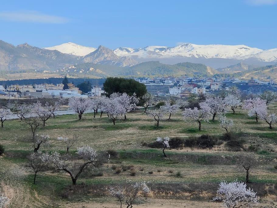 Villa Terracota, Lujo En Granada Y Sierra Nevada エクステリア 写真